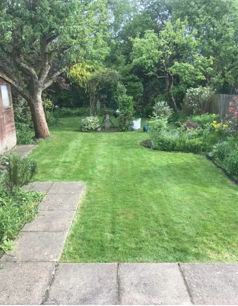 Main garden overview