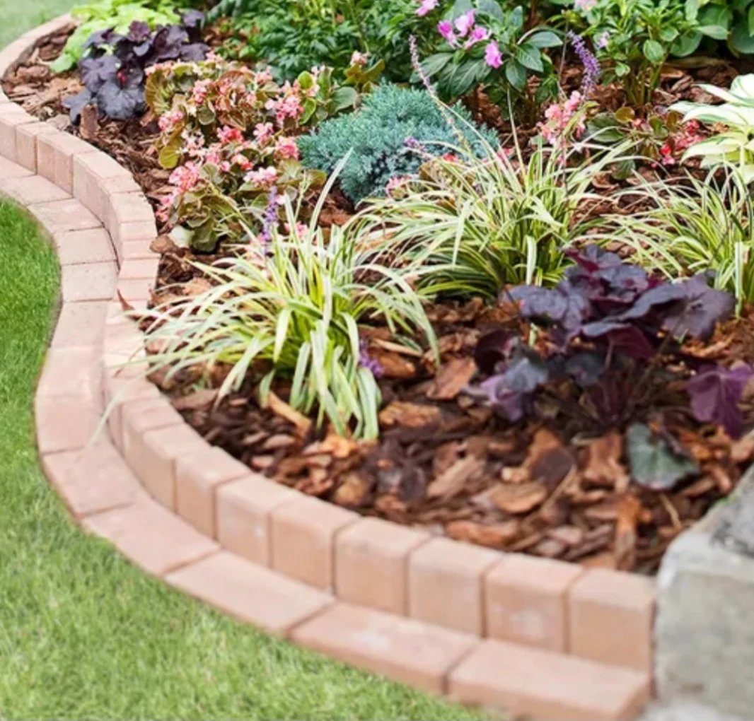 Lush green garden with perfect lawn