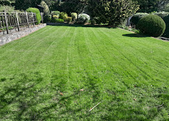 Lawn care treatments and upkeep